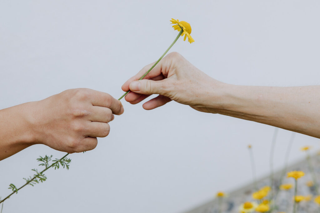 Zwei Hände halten eine gelbe Blume